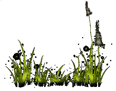 Трава - GIF animate gratis