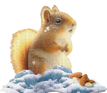 Écureuil.Squirrel.Winter.snow.Victoriabea - GIF animé gratuit