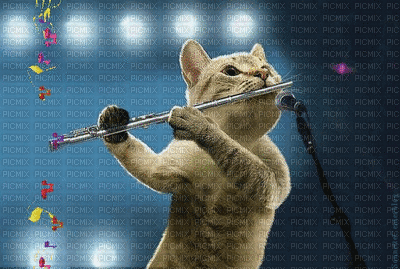 saxophoniste - Gratis animeret GIF