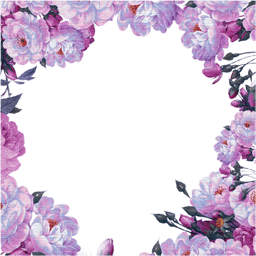 frame flowers - zdarma png