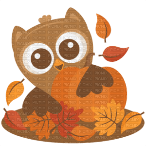 owl - δωρεάν png