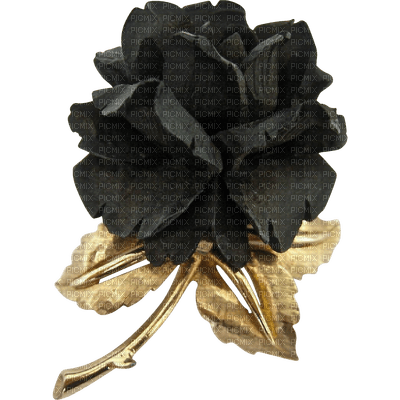 Flowers black bp - ingyenes png