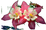 fleurs - GIF animado grátis