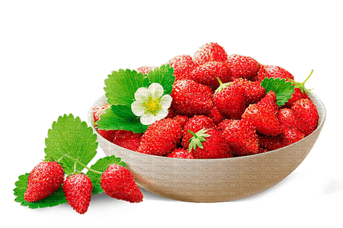 strawberry by nataliplus - gratis png
