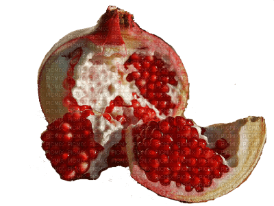 pomegranate fruit bp - png grátis
