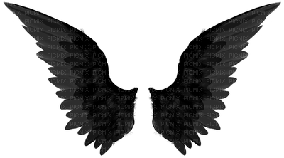 wings bp - PNG gratuit
