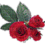 rosas gif-l - 免费动画 GIF