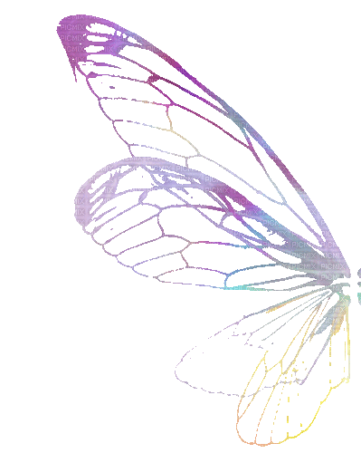 Wing.Aile.gif.Fairy.Fée.Victoriabea - GIF animado gratis