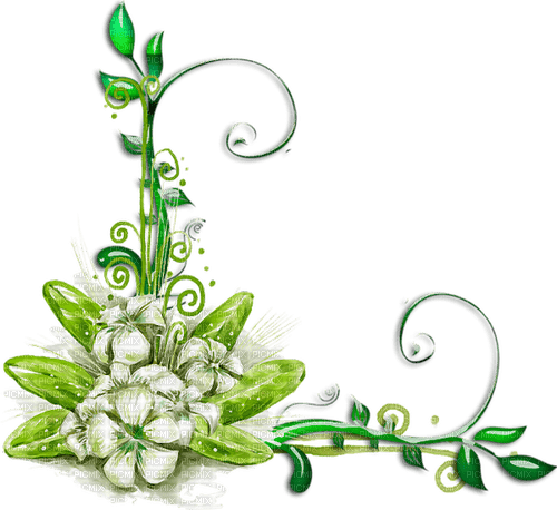 white flowers 5 - png ฟรี