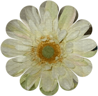 flower - Free PNG