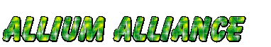 Allium alliance - GIF animasi gratis