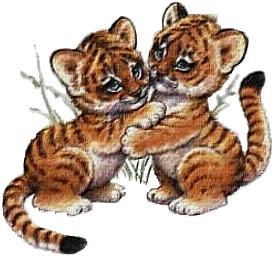 Kaz_Creations Tigers Cubs Animated - Ingyenes animált GIF