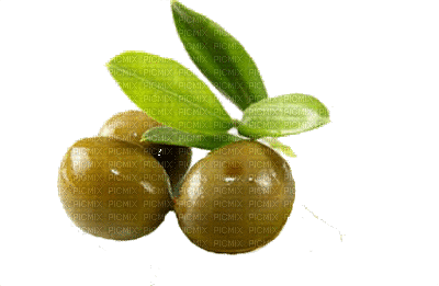 olives bp - Zdarma animovaný GIF
