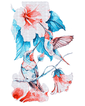 soave deco bird flowers hummingbird blue orange - δωρεάν png