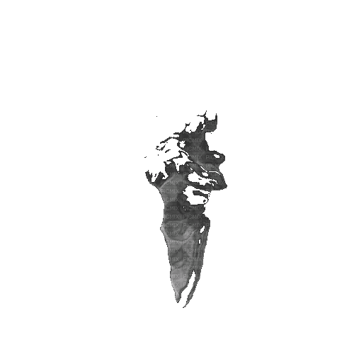smoke - 免费动画 GIF