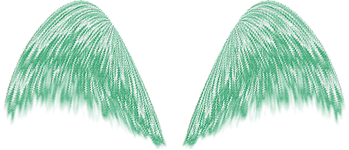flügel wings fairy - zdarma png
