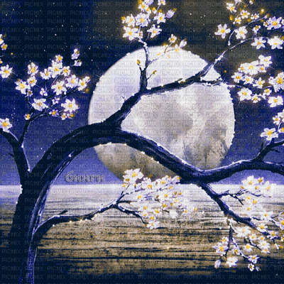 Y.A.M._Japan landscape background - Darmowy animowany GIF