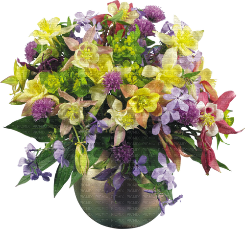 Bloemen en planten - бесплатно png
