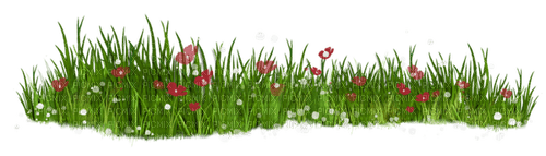 kikkapink deco summer spring grass flowers - δωρεάν png