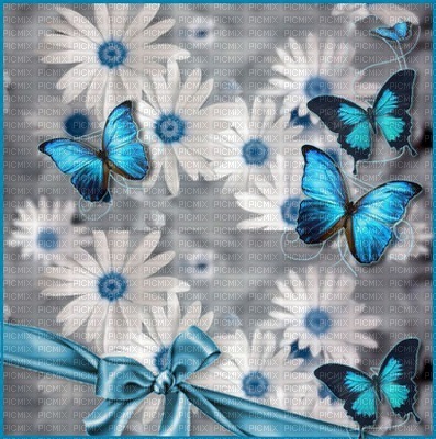 Kaz_Creations Backgrounds Background Flowers Butterflies - png gratis