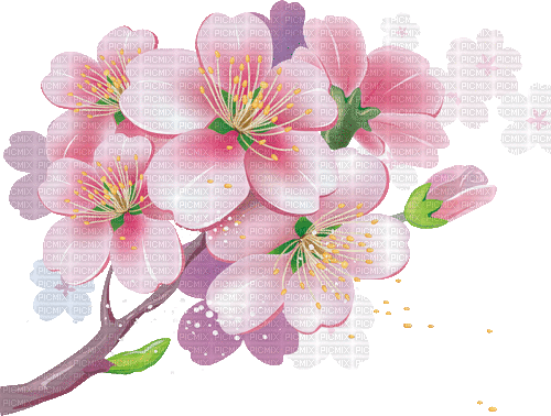 Sakura Blossom - Бесплатни анимирани ГИФ