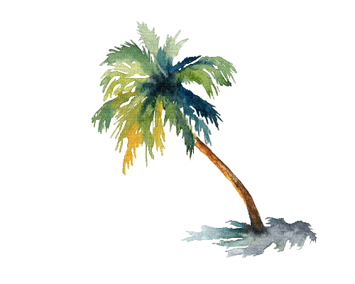 ✶ Palm {by Merishy} ✶ - zadarmo png
