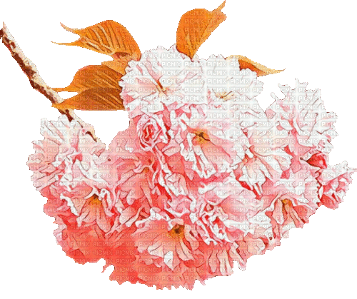 Y.A.M._Japan Spring Flowers Decor - Бесплатни анимирани ГИФ