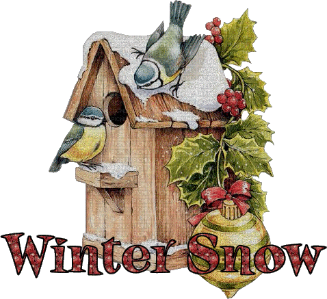 Winter Snow Birds - GIF animado gratis