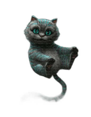 animals cats nancysaey - Free PNG
