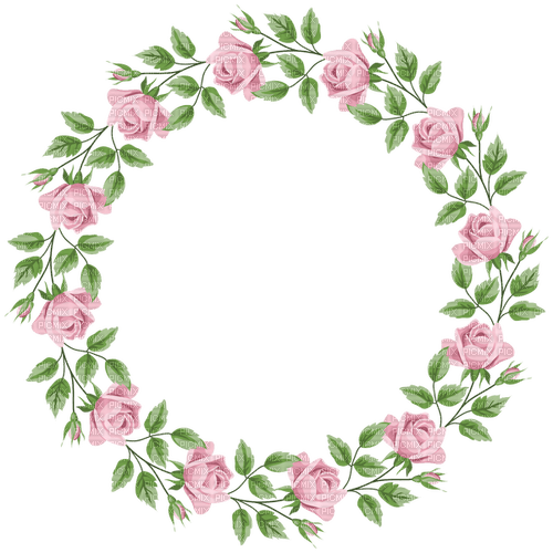 pink roses Bb2 - δωρεάν png