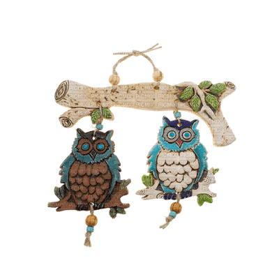Kaz_Creations Birds Bird Owls Owl - бесплатно png