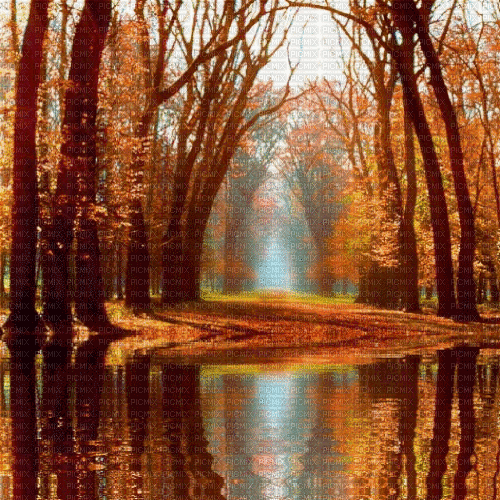 autumn automne water landscape bg gif - GIF animé gratuit