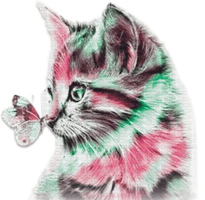 soave cat butterfly animals deco pink green - PNG gratuit