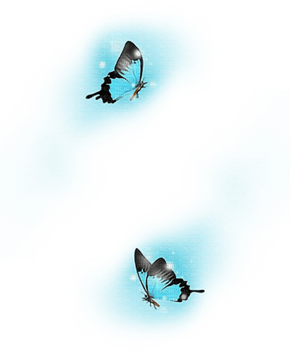 Blue butterflies scrap deco [Basilslament] - png ฟรี
