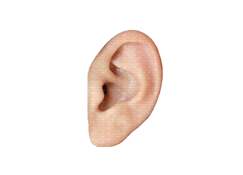 Human ear - Бесплатный анимированный гифка