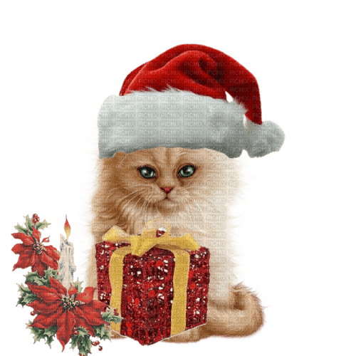 Christmas animal - darmowe png