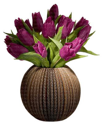 tulipan - ücretsiz png