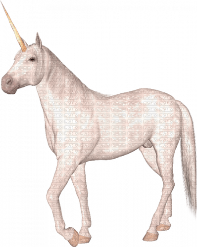 einhorn unicorn - darmowe png