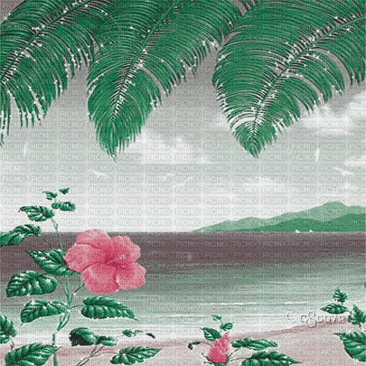 soave background animated summer beach  pink green - Free animated GIF