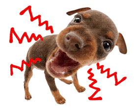 the dog line sticker - δωρεάν png