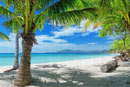 plage - Free PNG