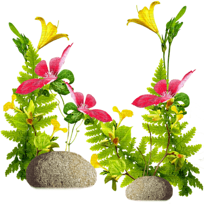 chantalmi fleur jaune - PNG gratuit