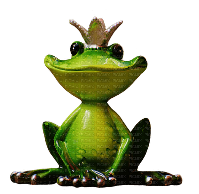 sammakko, frog - ücretsiz png