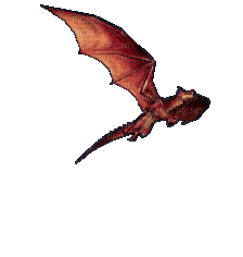 Nina dragon - Ilmainen animoitu GIF