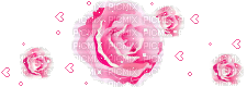 Pink Roses - GIF animado gratis