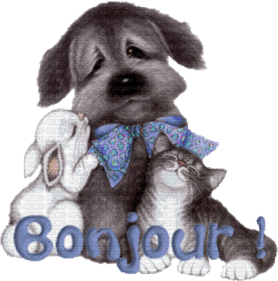 Kaz_Creations Animals Dogs Dog Pup 🐶 - GIF animado gratis