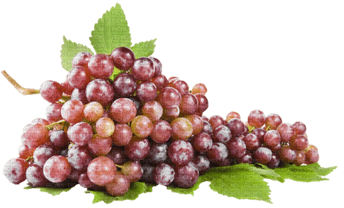 виноград - Free PNG