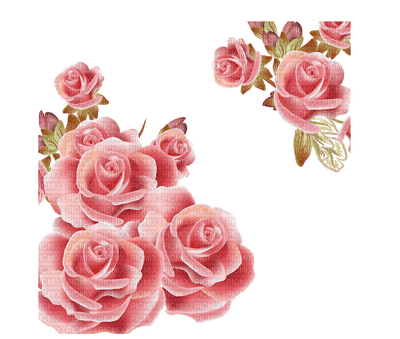 rose rose.Cheyenne63 - png gratis