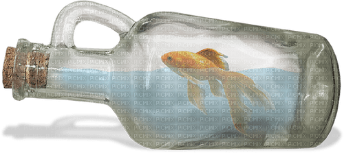Bouteille.Mer.Bottle.Sea.Fish.Victoriabea - Free PNG