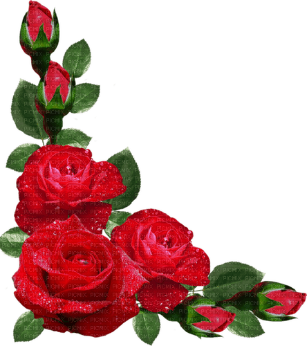 Rose Red Flower Green - Bogusia - PNG gratuit
